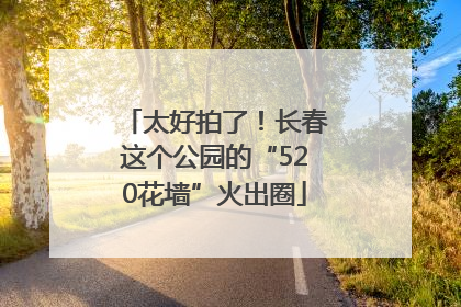 太好拍了！长春这个公园的“520花墙”火出圈