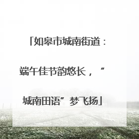 如皋市城南街道：端午佳节韵悠长，“城南田语”梦飞扬