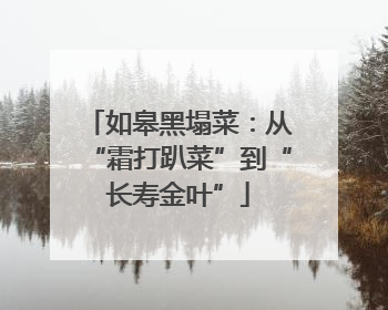 如皋黑塌菜：从“霜打趴菜”到“长寿金叶”