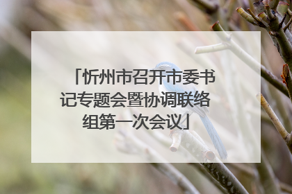 忻州市召开市委书记专题会暨协调联络组第一次会议