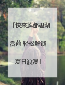 快来莲都碧湖赏荷 轻松解锁夏日浪漫