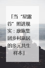 当“星露谷”照进现实：康旅集团乡村旅居的多元共生样本