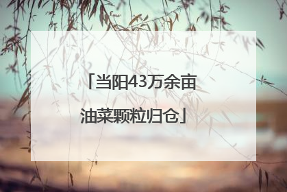 当阳43万余亩油菜颗粒归仓