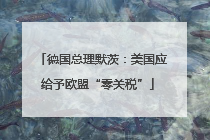 德国总理默茨：美国应给予欧盟“零关税”