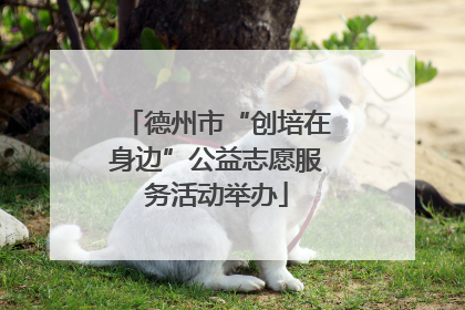 德州市“创培在身边”公益志愿服务活动举办