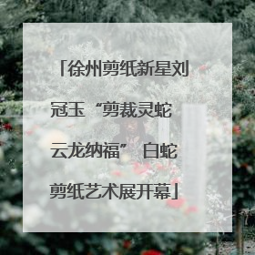 徐州剪纸新星刘冠玉“剪裁灵蛇 云龙纳福” 白蛇剪纸艺术展开幕