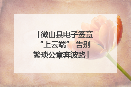 微山县电子签章“上云端” 告别繁琐公章奔波路