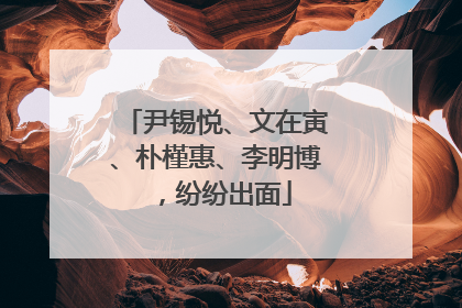 尹锡悦、文在寅、朴槿惠、李明博，纷纷出面