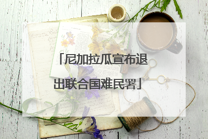 尼加拉瓜宣布退出联合国难民署