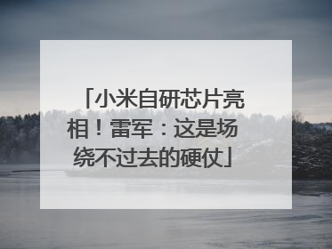 小米自研芯片亮相！雷军：这是场绕不过去的硬仗