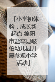 小学初体验，成长新起点 绵阳市盐亭县岐伯幼儿园开展参观小学活动