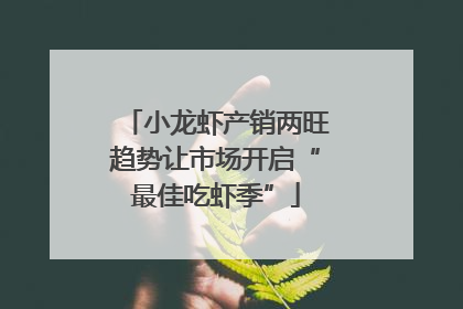 小龙虾产销两旺趋势让市场开启“最佳吃虾季”