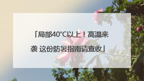 局部40℃以上！高温来袭 这份防暑指南请查收