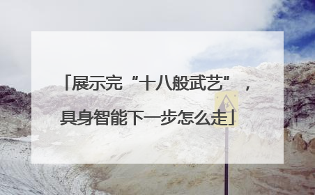 展示完“十八般武艺”，具身智能下一步怎么走