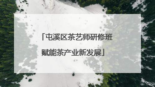 屯溪区茶艺师研修班赋能茶产业新发展