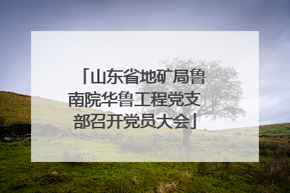 山东省地矿局鲁南院华鲁工程党支部召开党员大会