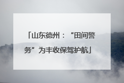 山东德州：“田间警务”为丰收保驾护航