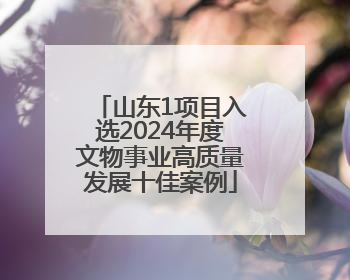山东1项目入选2024年度文物事业高质量发展十佳案例