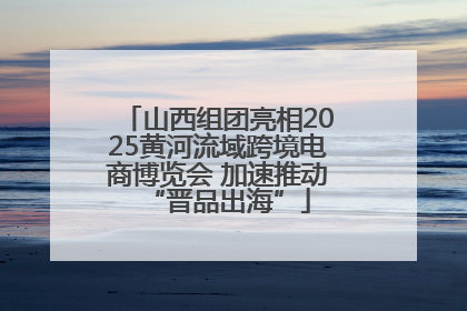 山西组团亮相2025黄河流域跨境电商博览会 加速推动“晋品出海”