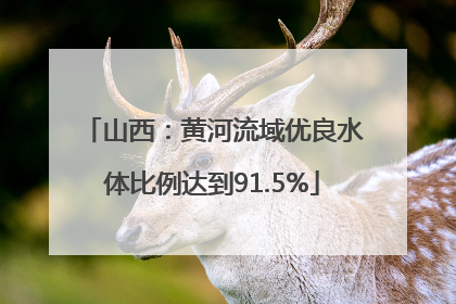 山西：黄河流域优良水体比例达到91.5%