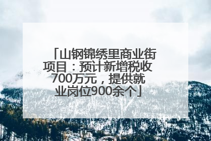 山钢锦绣里商业街项目：预计新增税收700万元，提供就业岗位900余个
