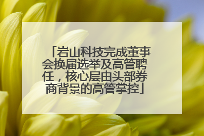 岩山科技完成董事会换届选举及高管聘任，核心层由头部券商背景的高管掌控