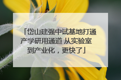 岱山建强中试基地打通产学研用通道 从实验室到产业化，更快了