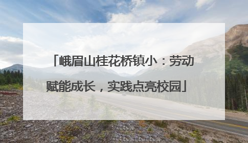 峨眉山桂花桥镇小：劳动赋能成长，实践点亮校园
