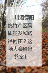 川酒德阳绵竹产区高质量发展路径何在？这场大会给出答案