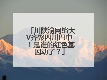 川陕渝网络大V齐聚四川巴中！是谁的红色基因动了？