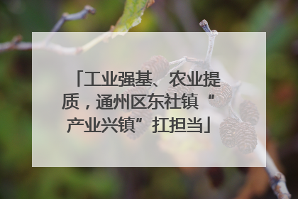 工业强基、农业提质，通州区东社镇“产业兴镇”扛担当