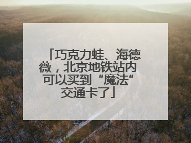 巧克力蛙、海德薇，北京地铁站内可以买到“魔法”交通卡了