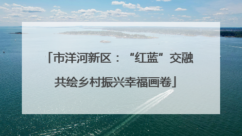 市洋河新区：“红蓝”交融 共绘乡村振兴幸福画卷
