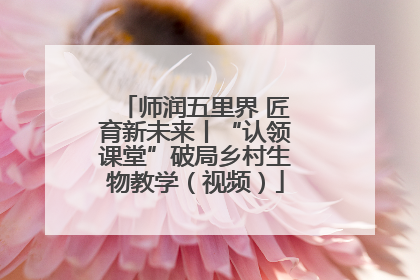 师润五里界 匠育新未来丨“认领课堂”破局乡村生物教学（视频）