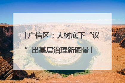 广信区：大树底下“议”出基层治理新图景