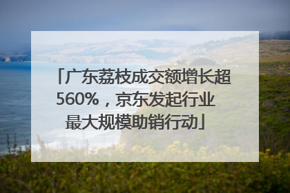 广东荔枝成交额增长超560%，京东发起行业最大规模助销行动