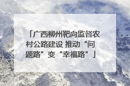 广西柳州靶向监督农村公路建设 推动“问题路”变“幸福路”