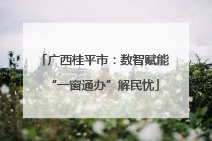 广西桂平市：数智赋能“一窗通办”解民忧