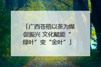 广西苍梧以茶为媒促振兴 文化赋能“绿叶”变“金叶”