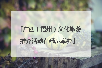 广西（梧州）文化旅游推介活动在悉尼举办