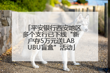 平安银行西安地区多个支行已下线“新户存5万元送LABUBU盲盒”活动