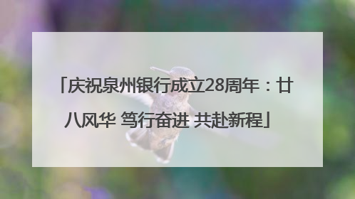 庆祝泉州银行成立28周年：廿八风华 笃行奋进 共赴新程