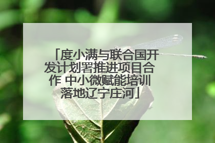 度小满与联合国开发计划署推进项目合作 中小微赋能培训落地辽宁庄河