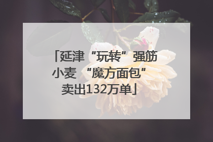 延津“玩转”强筋小麦 “魔方面包”卖出132万单