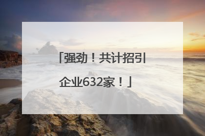 强劲！共计招引企业632家！