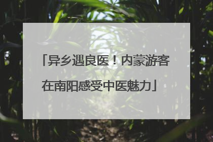 异乡遇良医！内蒙游客在南阳感受中医魅力