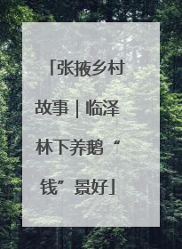 张掖乡村故事｜临泽林下养鹅“钱”景好
