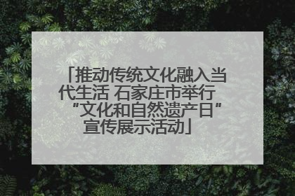 推动传统文化融入当代生活 石家庄市举行“文化和自然遗产日”宣传展示活动