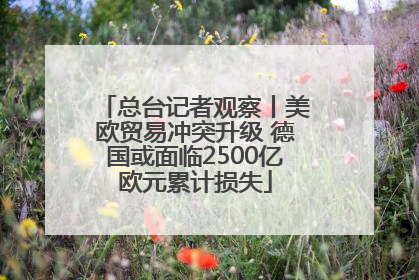 总台记者观察丨美欧贸易冲突升级 德国或面临2500亿欧元累计损失