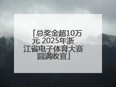总奖金超10万元 2025年浙江省电子体育大赛圆满收官